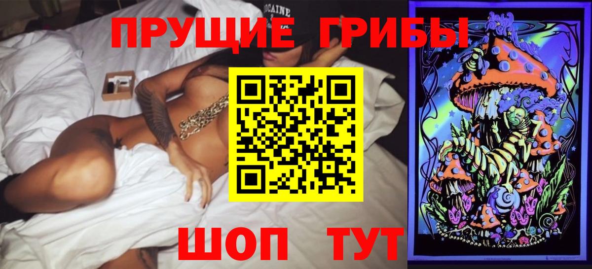 Псилоцибиновые грибы MAGIC MUSHROOMS  Вход с VPN  Киров  Псилоцибиновые грибы Cubensis 